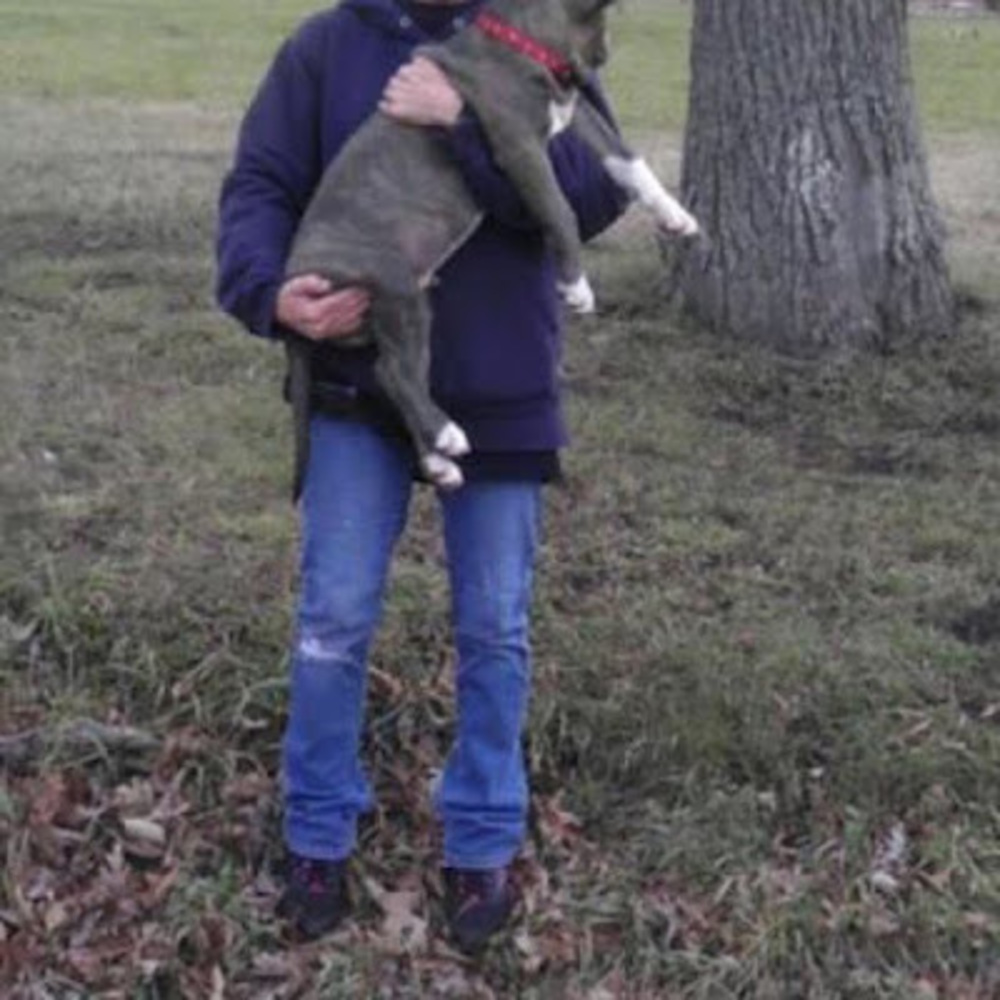 Meet your Posher, Edye